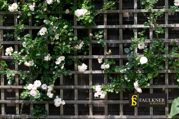 Can I put trellis on my Neighbours garage wall? 2 Do you want to adapt your neighbours garage door and add a trellis Bury-st-Edmunds? Talk to Faulkner Surveyor Bury-st-Edmunds